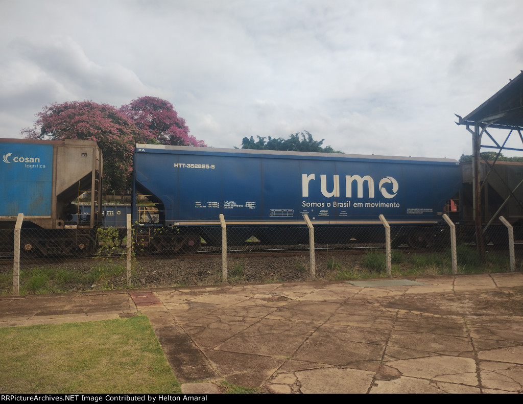 RUMO HTT-352885-5